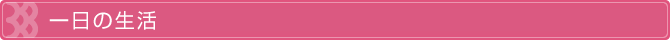一日の生活