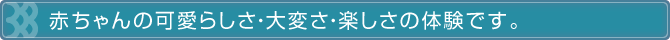 赤ちゃんのかわいらしさ・子育ての大変さ・楽しさの体験です。