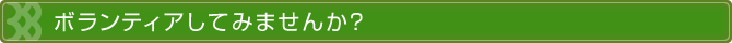 養育のパートナーとしてボランティアを受け入れます